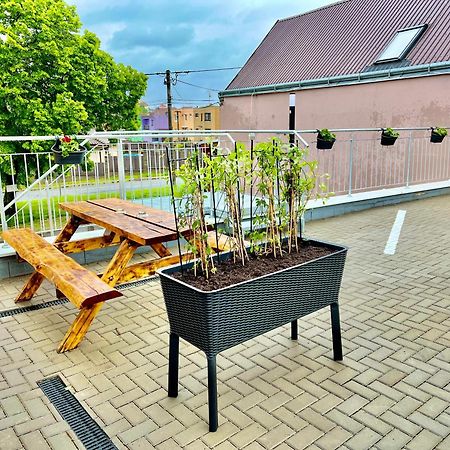Penzion Bazen Vino Sklep U Palecku Zaječí Kültér fotó